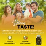 YHT Sativa Black Seed Oil Gummies 1000MG For Antioxidant Immune Joints Digestion Hair Skin Support - Image 5