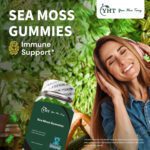YHT Irish Sea Moss Gummies Bladderwrack Burdock Gut Healthy Immune - Image 3