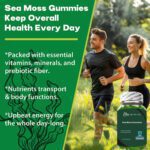 YHT Irish Sea Moss Gummies Bladderwrack Burdock Gut Healthy Immune - Image 5