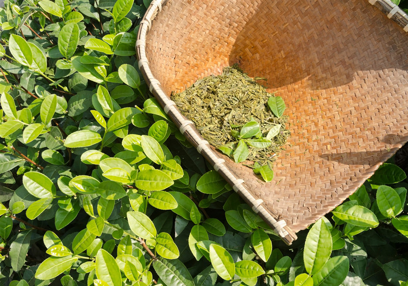 green-tea-leaves_raw