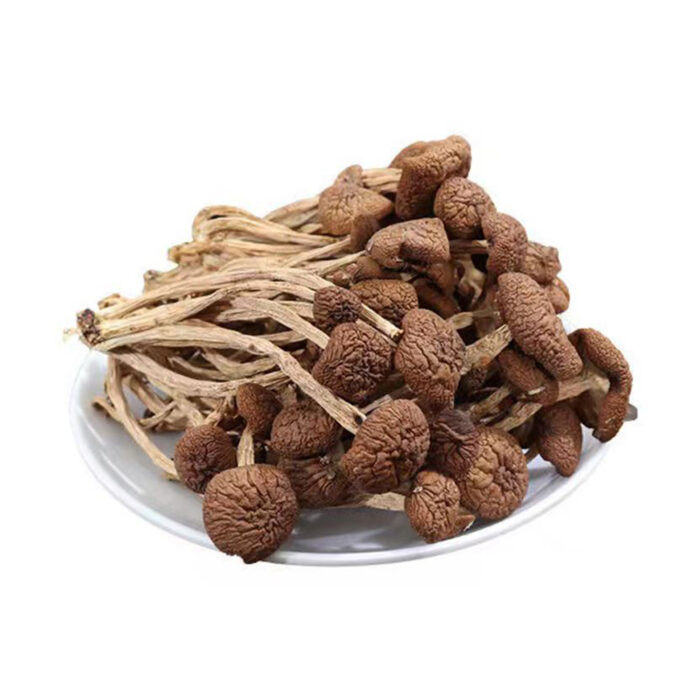 Dried Agrocybe Aegerita Mushrooms