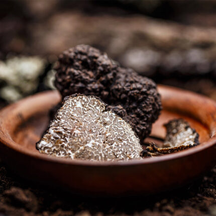 Dried Black Truffle Mushrooms