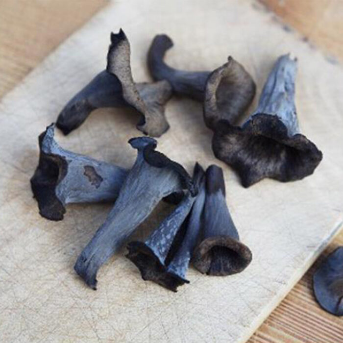 Dried Black Trumpet Mushrooms Black Chanterelle Mushroom