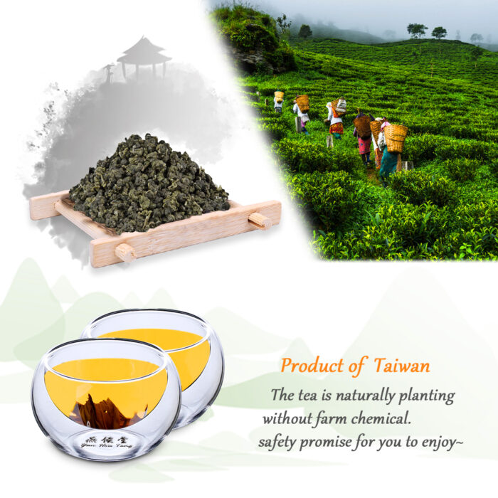 DongDing oolong tea