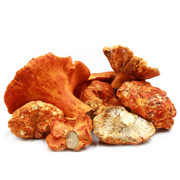 Dried Lobster Mushrooms