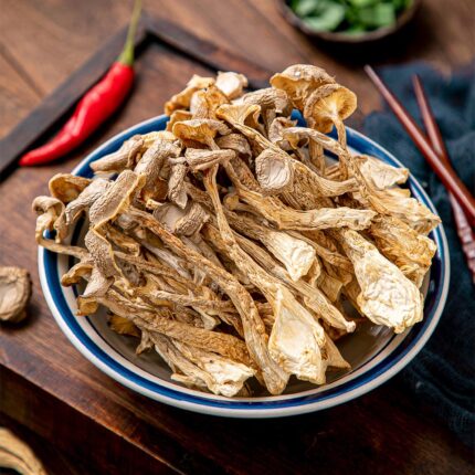 Dried Pilose Antler Mushrooms