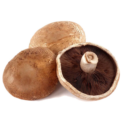 Dried Portabella Mushrooms