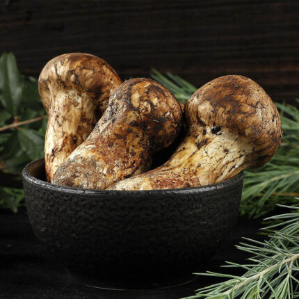 Dried Tricholoma Matsutake Pine Mushrooms