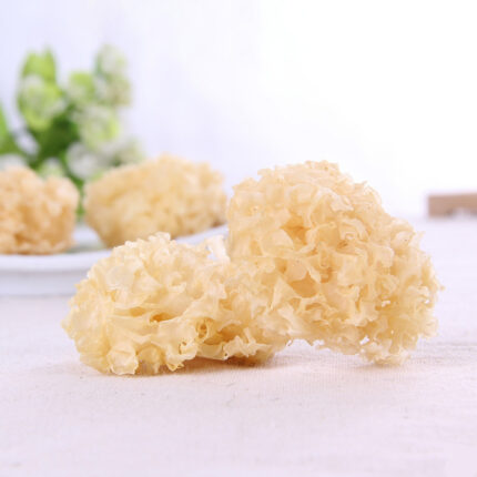 Dried White Fungus Snow Fungus Mushrooms