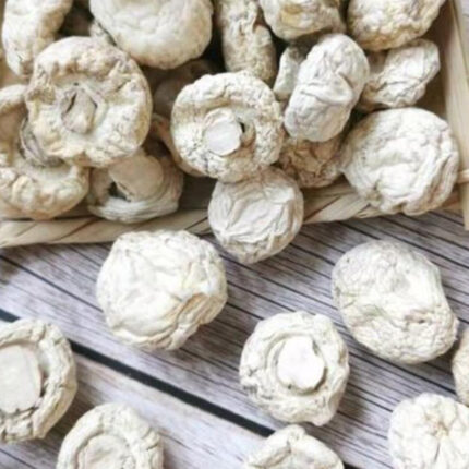 Dried White Mushroom Button Mushrooms